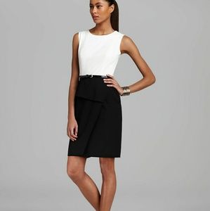 Calvin Klein Fit-n-Flare Colorblocked Dress